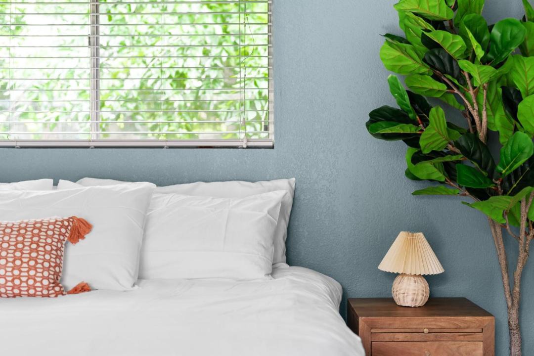 Photo of Bedroom in Barton Hills