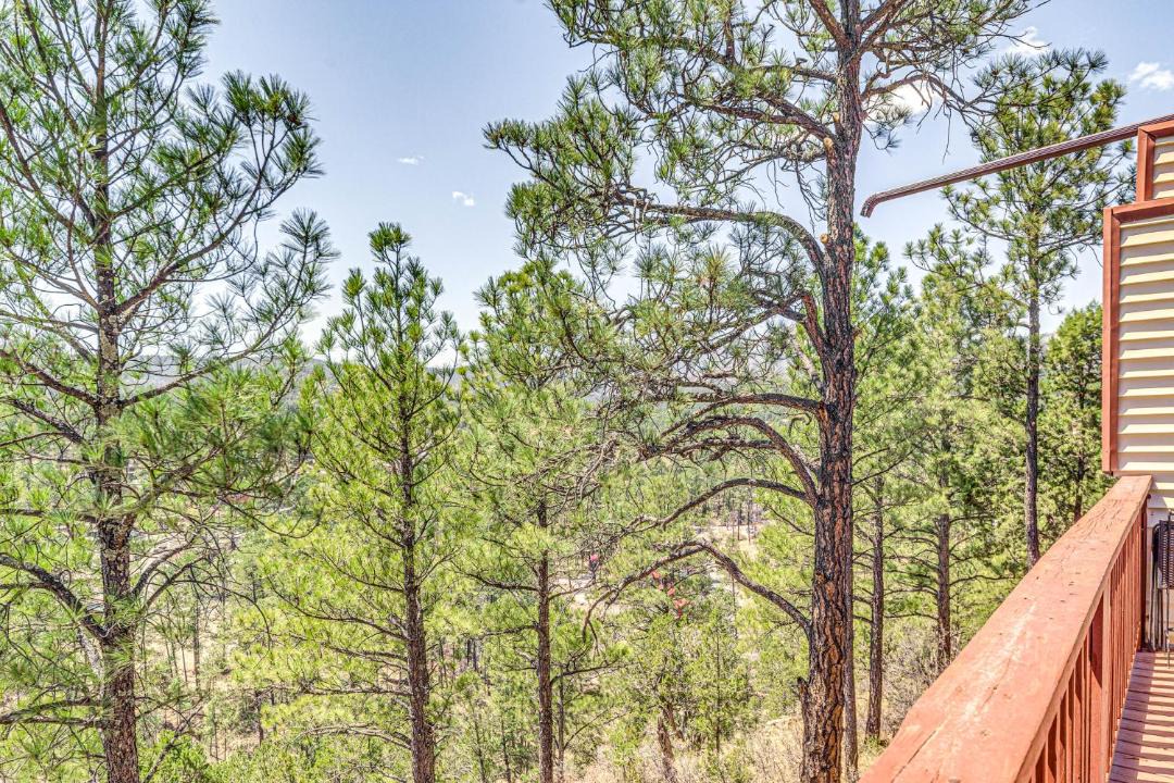 Photo of Others in Ruidoso