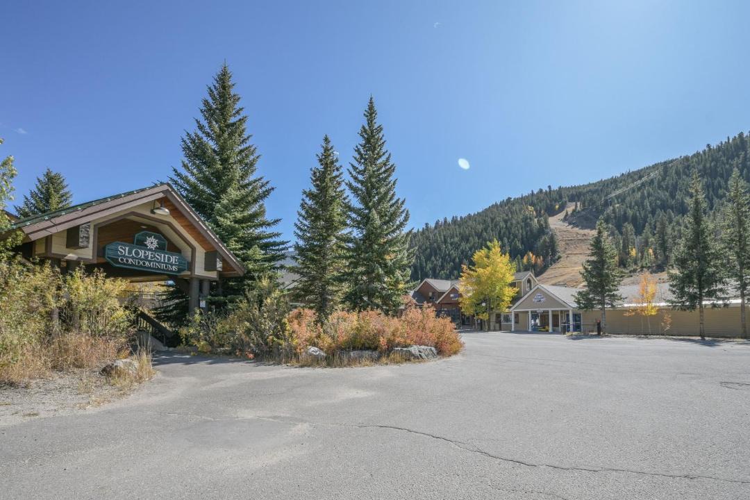 Photo of Others in Mountain House