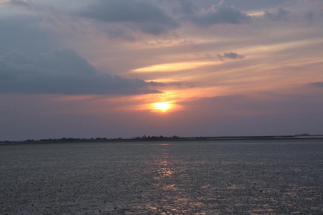 Photo of Others in Daufuskie Island