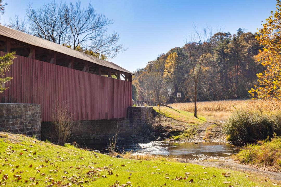 Photo of Others in Mount Pleasant Mills
