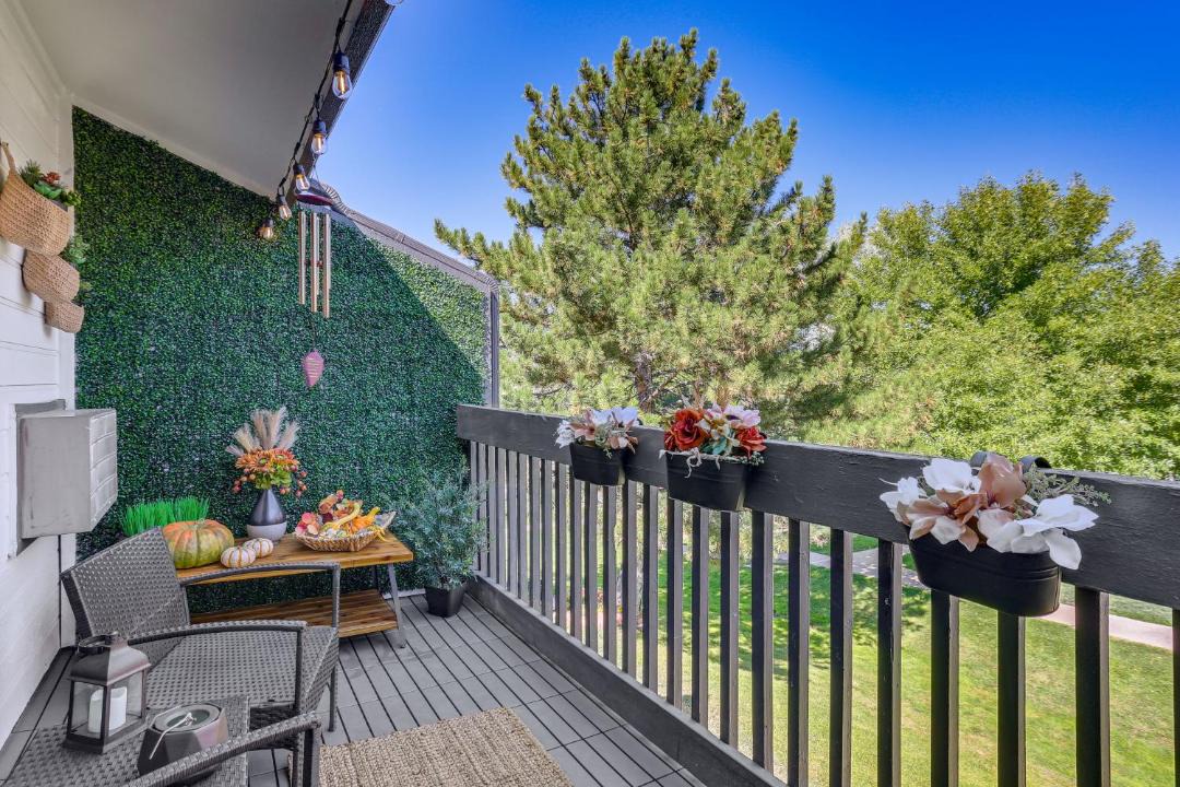 Photo of Patio Balcony in Castle Rock