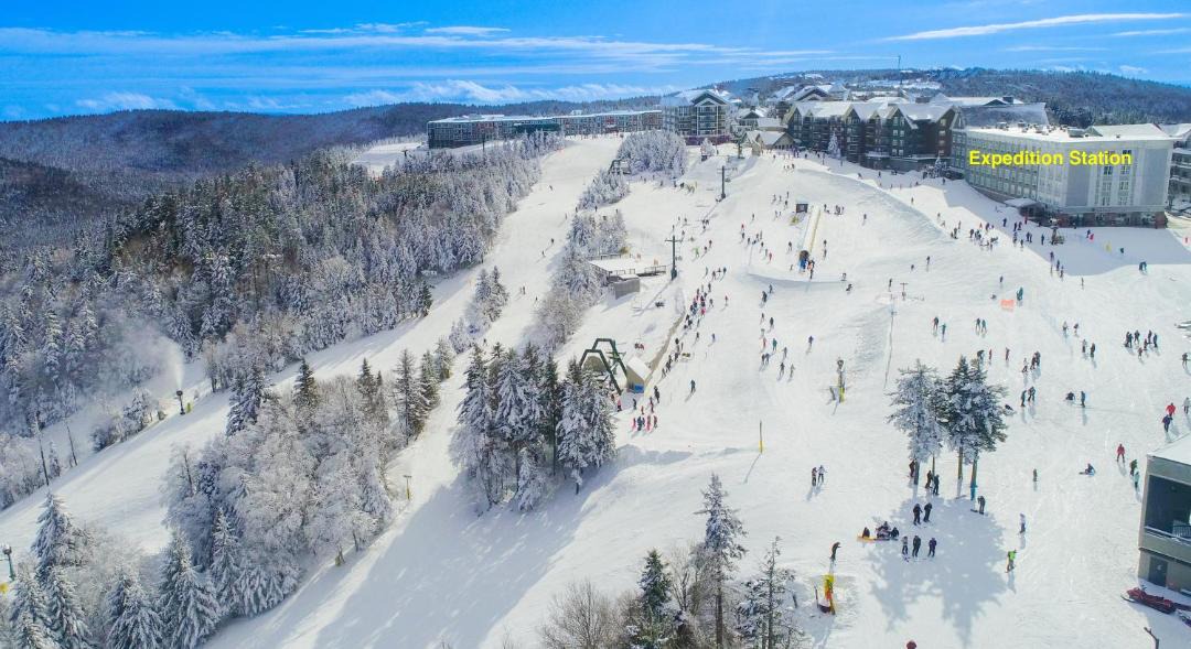 Photo of Others in Snowshoe