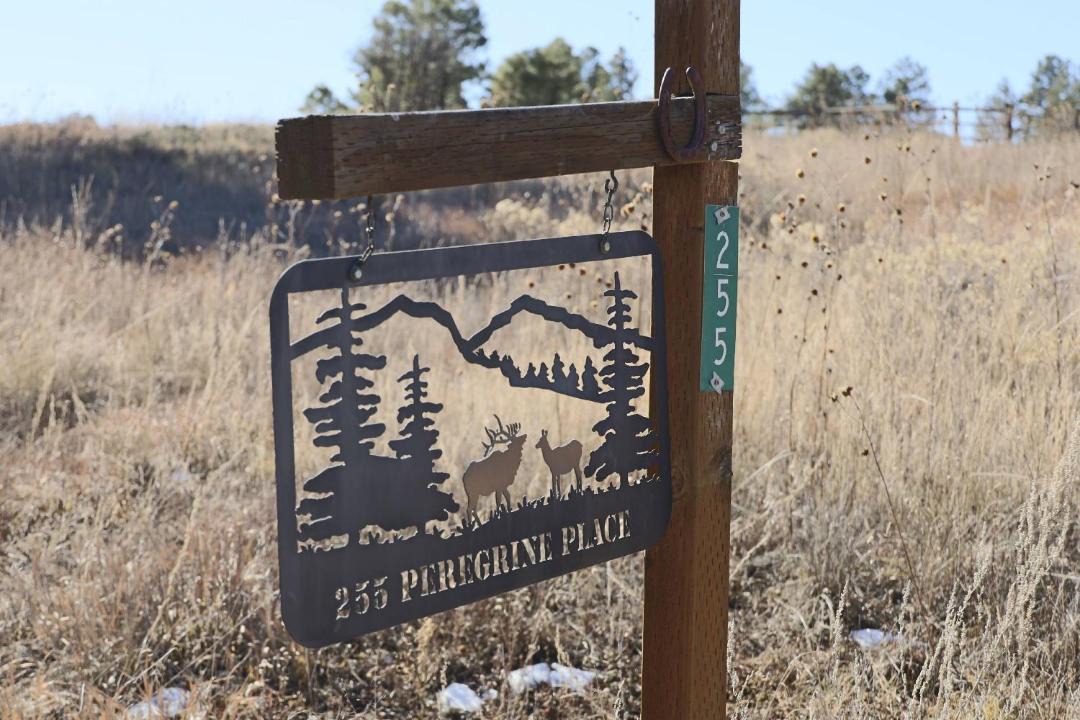 Photo of Others in Pagosa Springs
