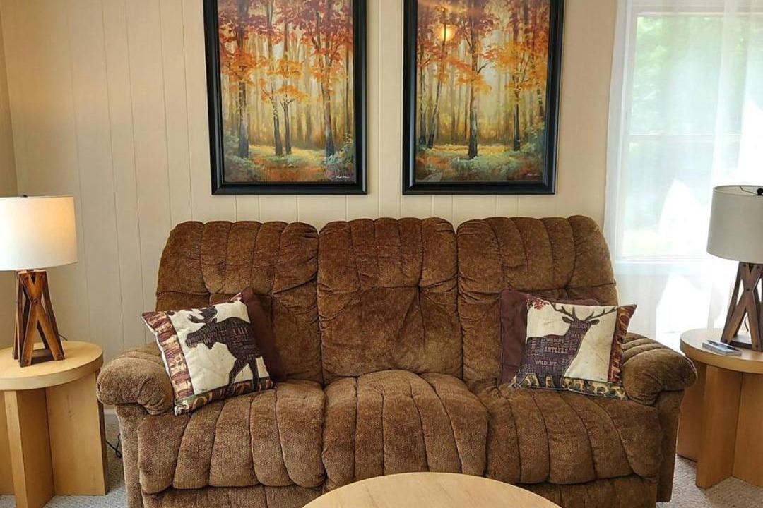 Photo of Livingroom in Chestertown