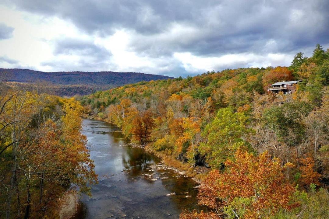 Photo of Others in Great Cacapon