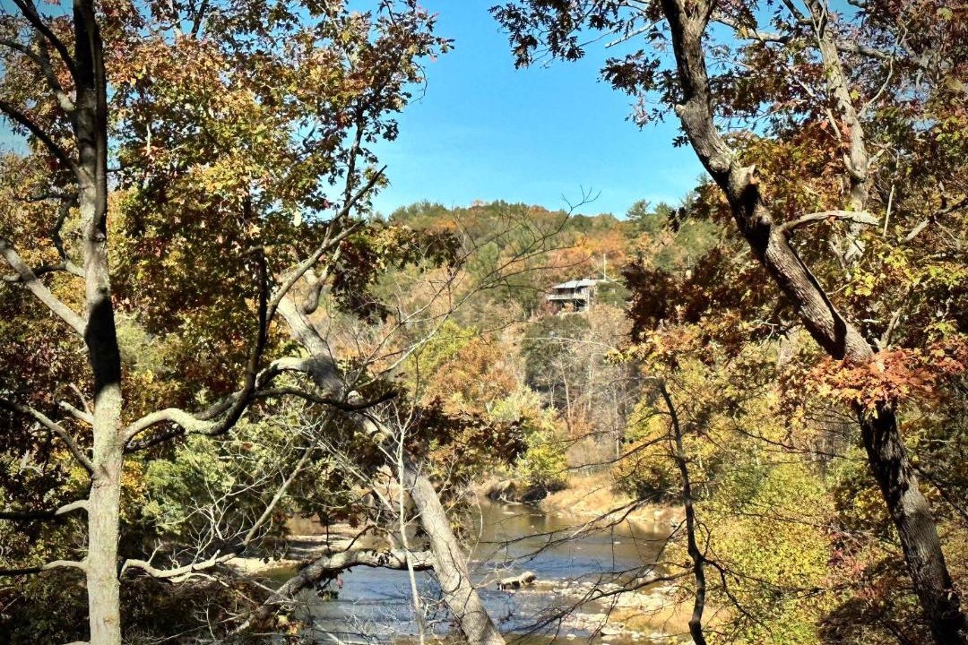 Photo of Others in Great Cacapon