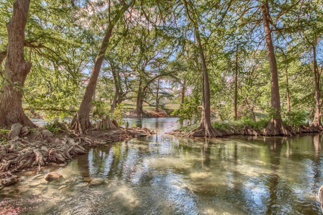 Photo of Others in New Braunfels
