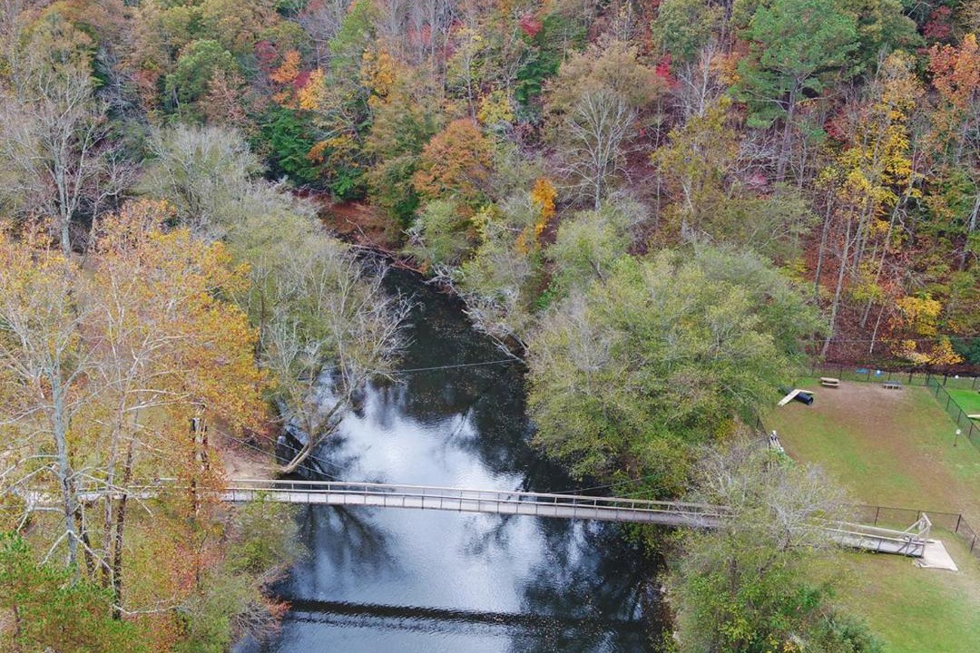Photo of Others in Ellijay