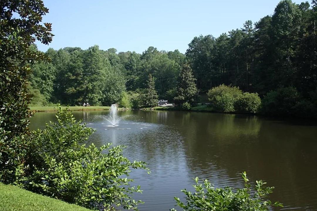 Photo of Others in Ellijay