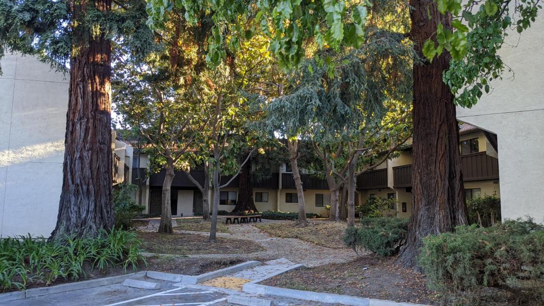 Photo of Others in Sunnyvale