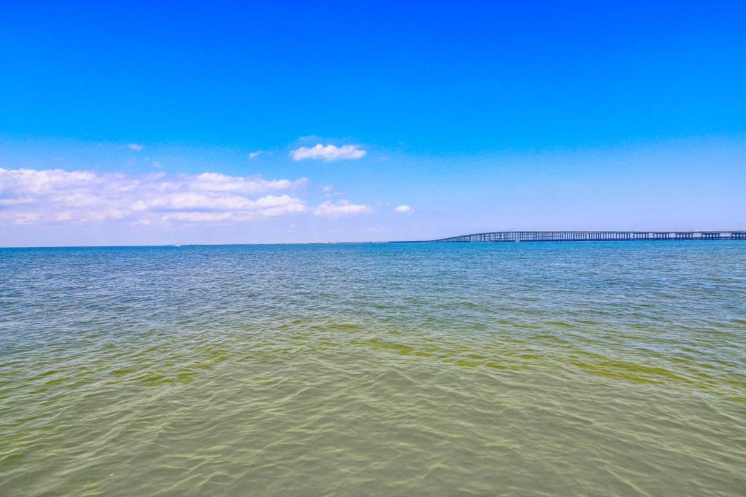 Photo of Others in Rockport