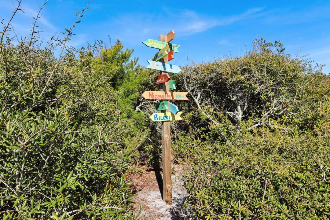 Photo of Others in Cape San Blas