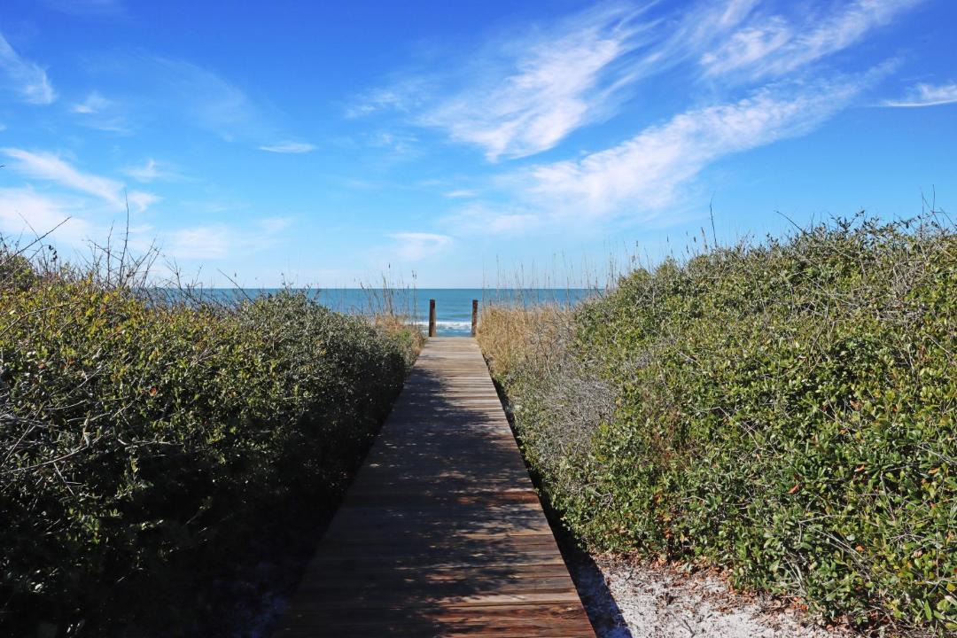 Photo of Others in Cape San Blas