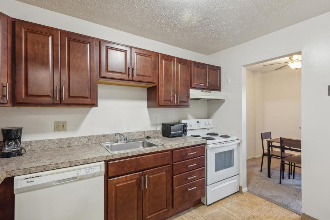 Photo of Kitchen in Parma