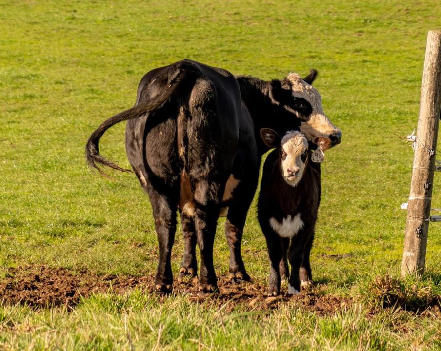 Photo of Others in Tillamook