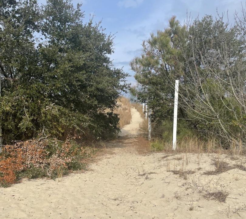 Photo of Others in Cottage Line
