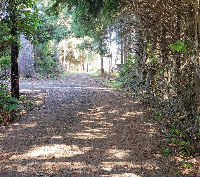 Photo of Others in Cape Meares