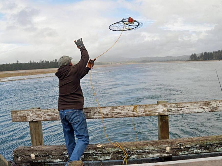 Photo of Others in Kiwanda Shores