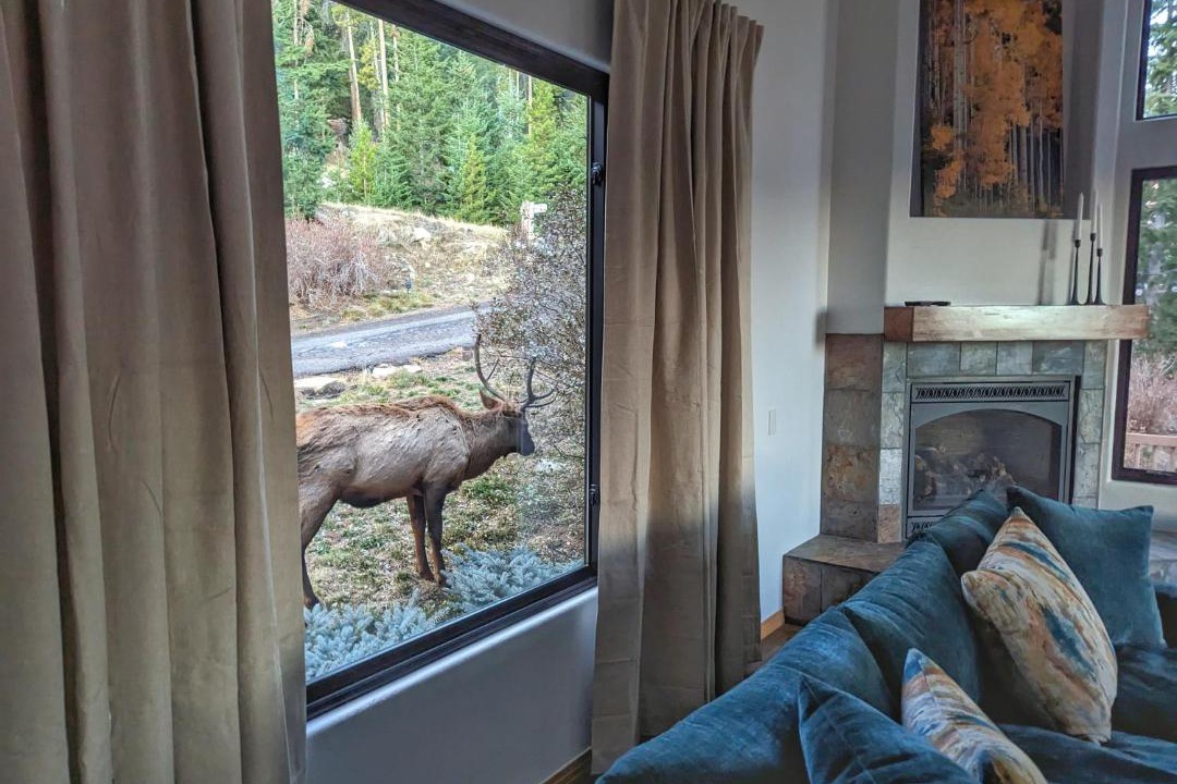 Photo of Others in Evergreen