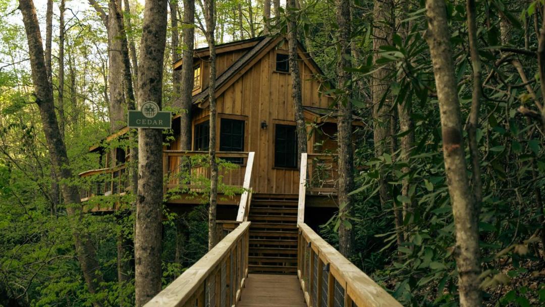 Photo of Others in Gatlinburg