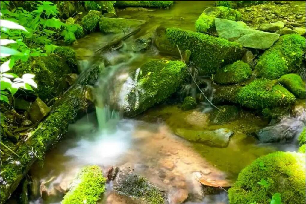 Photo of Others in Hot Springs