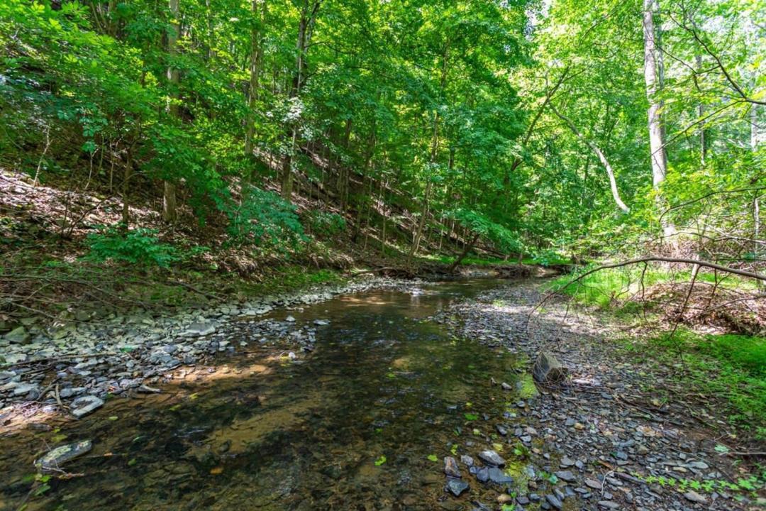 Photo of Others in Berkeley Springs