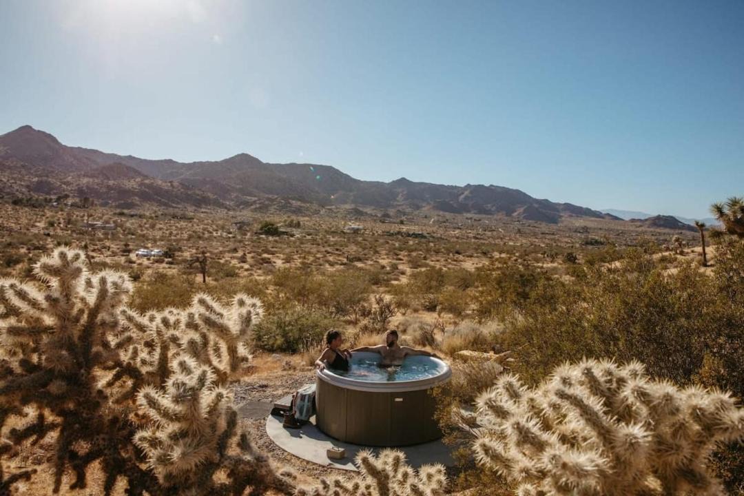 Photo of Others in Joshua Tree