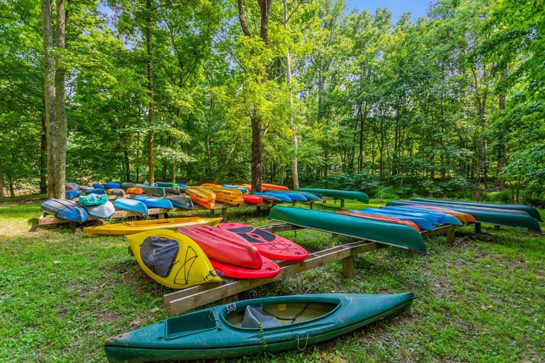 Photo of Others in Great Cacapon