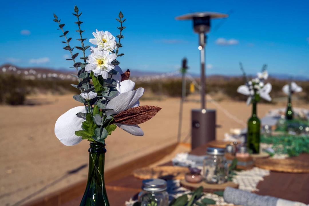 Photo of Others in Joshua Tree