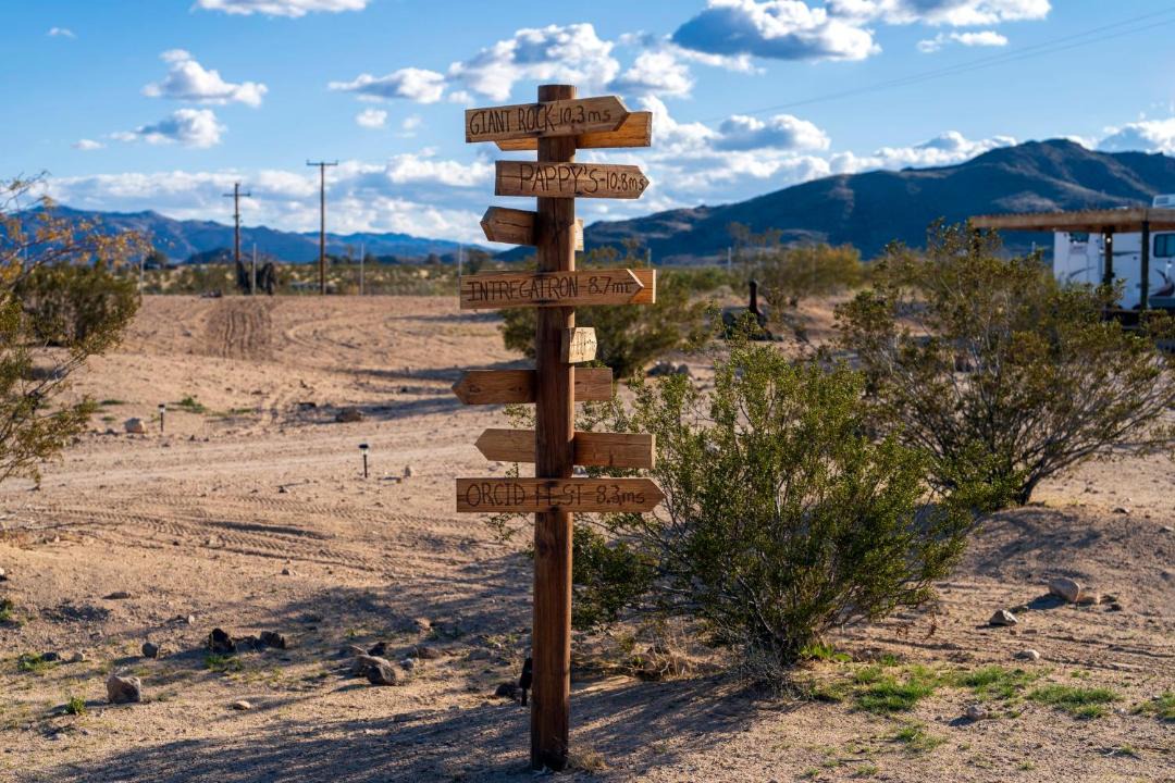 Photo of Others in Joshua Tree