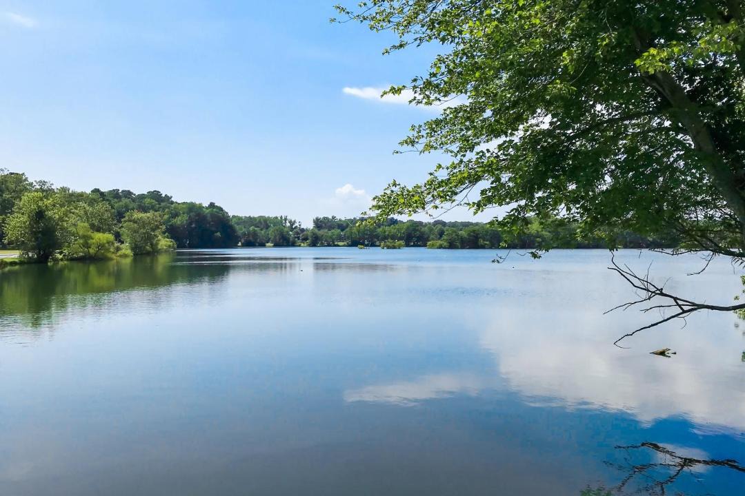 Photo of Outdoor in Ocean Pines