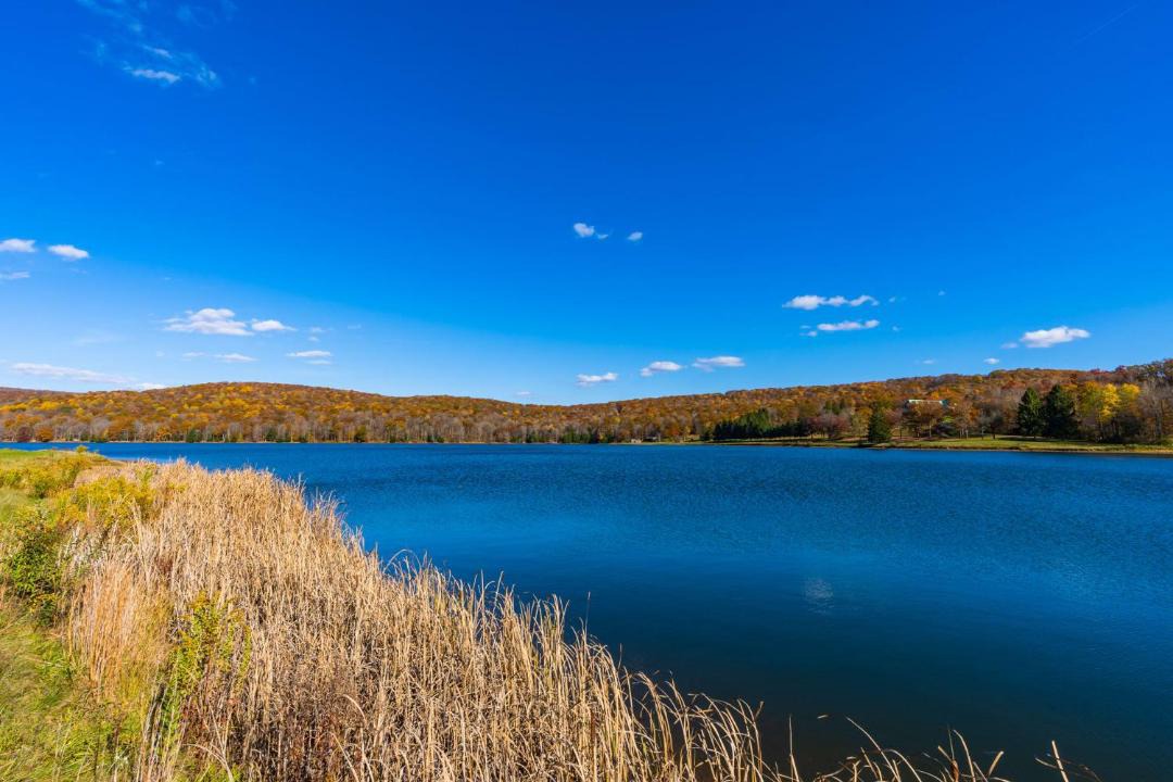 Photo of Others in Alpine Lake