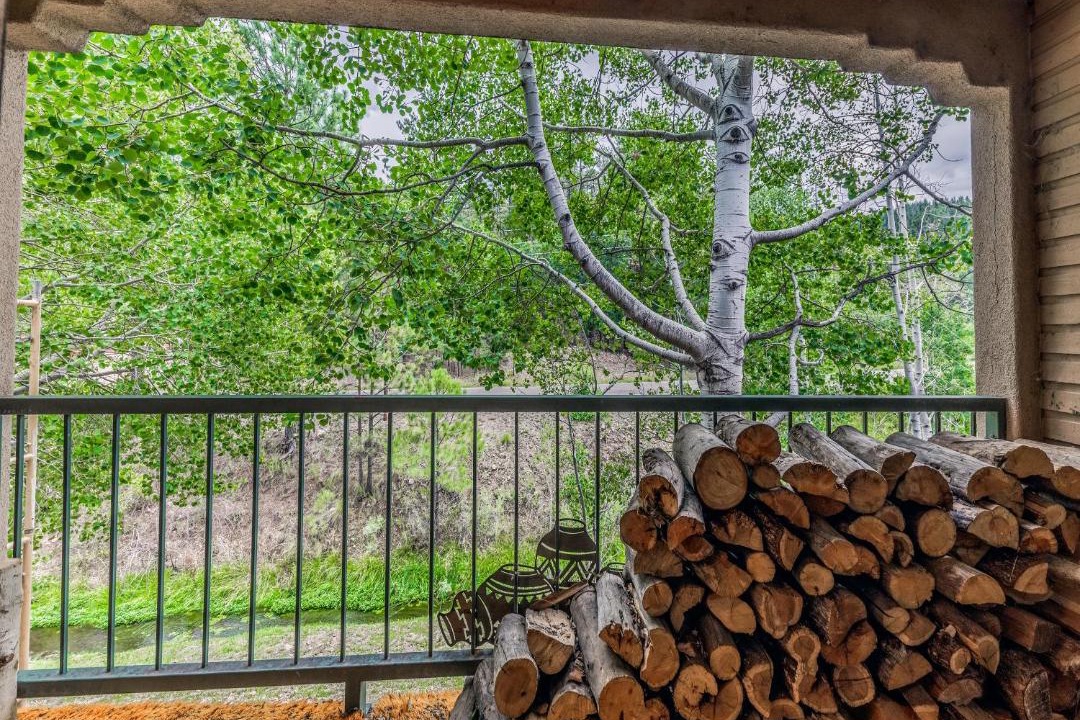 Photo of Others in Ruidoso