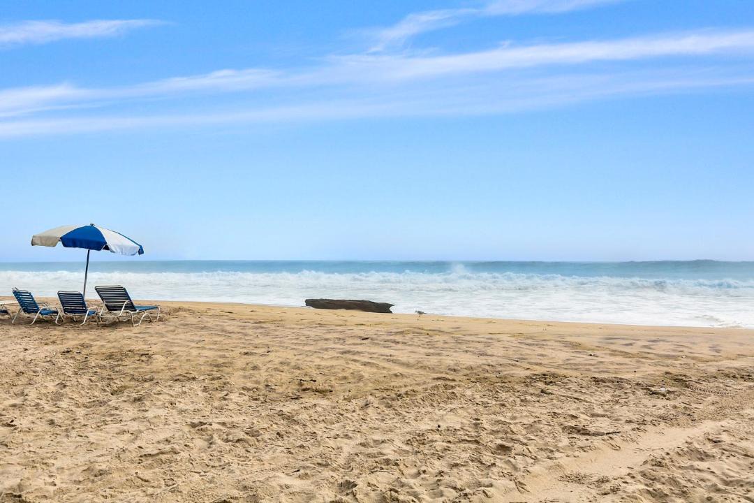 Photo of Others in Montauk