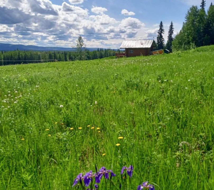 Photo of Others in Fairbanks
