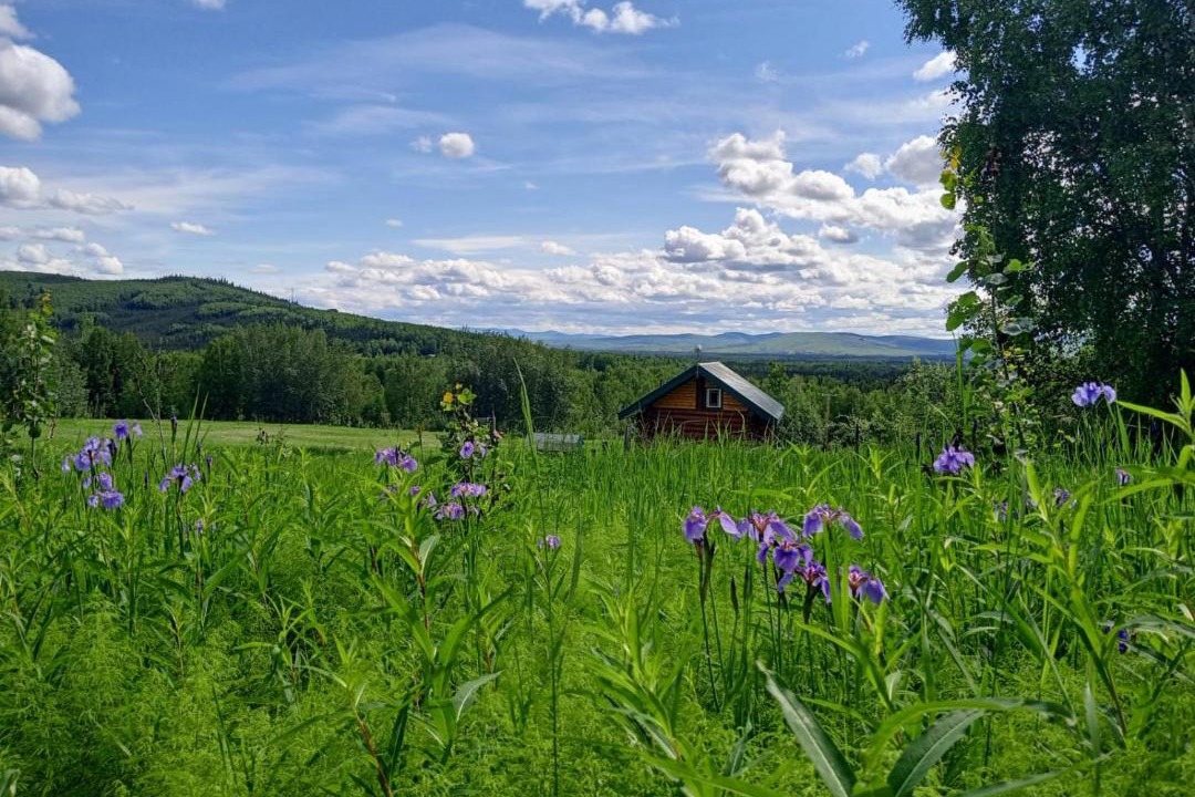 Photo of Others in Fairbanks