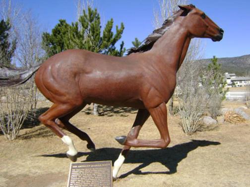 Photo of Others in Ruidoso Downs