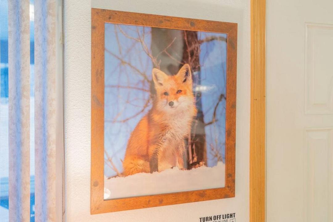 Photo of Others in North Pole
