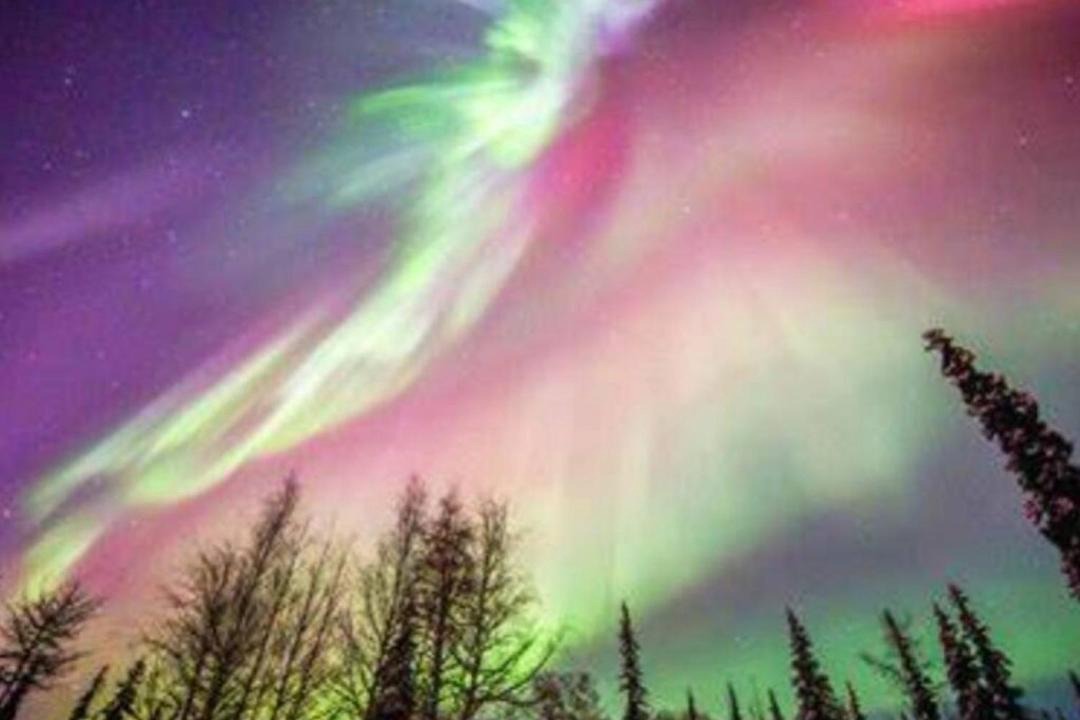 Photo of Others in North Pole