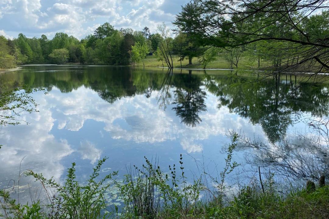 Photo of Outdoor in Beersheba Springs