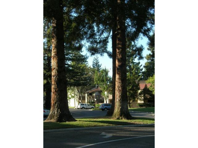 Photo of Others in Sunnyvale