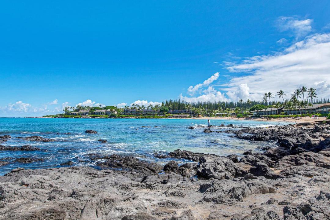 Photo of Outdoor in Napili