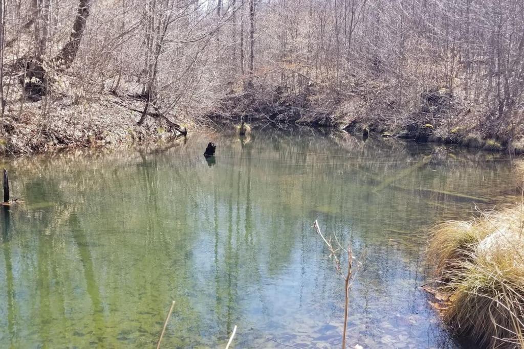 Photo of Outdoor in Adrian