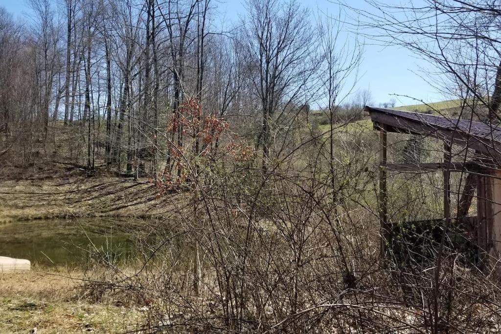 Photo of Buildings in Adrian
