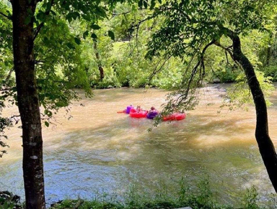 Photo of Outdoor in East Ellijay