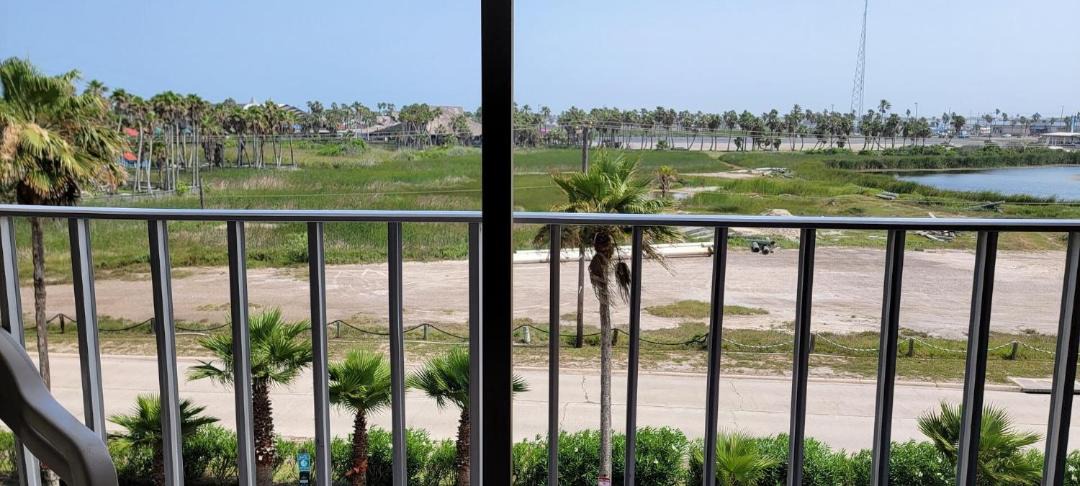 Photo of Others in South Padre Island