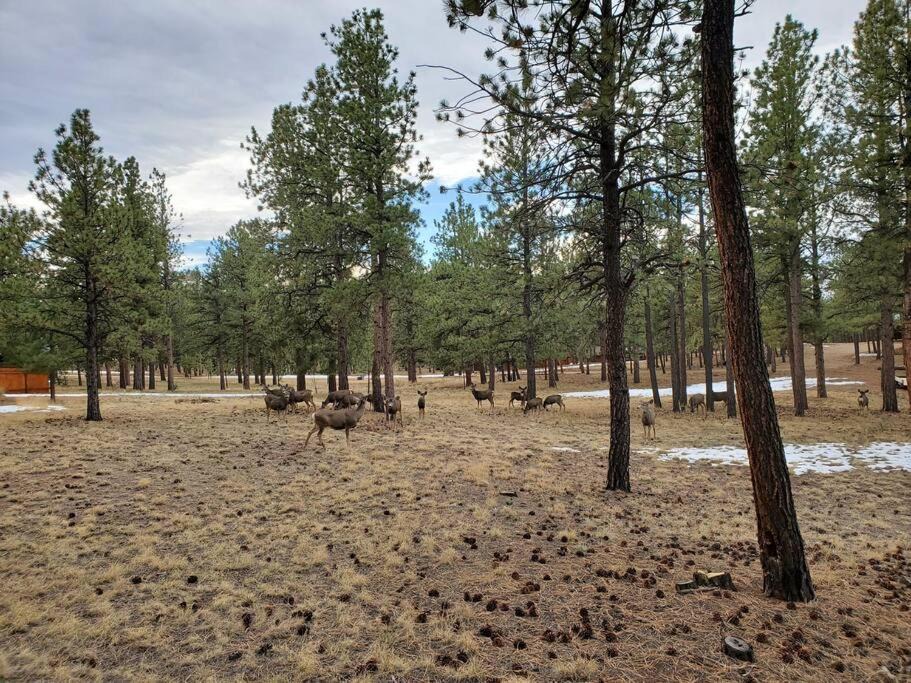 Photo of Outdoor in Westcliffe