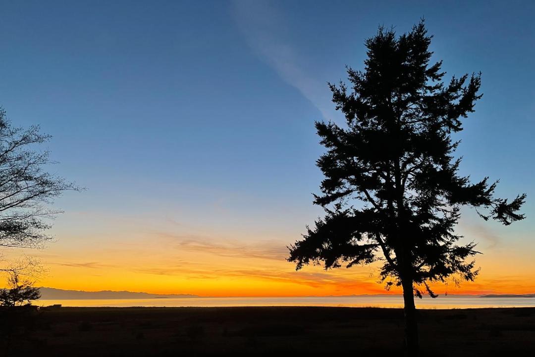 Photo of Outdoor in Oak Harbor