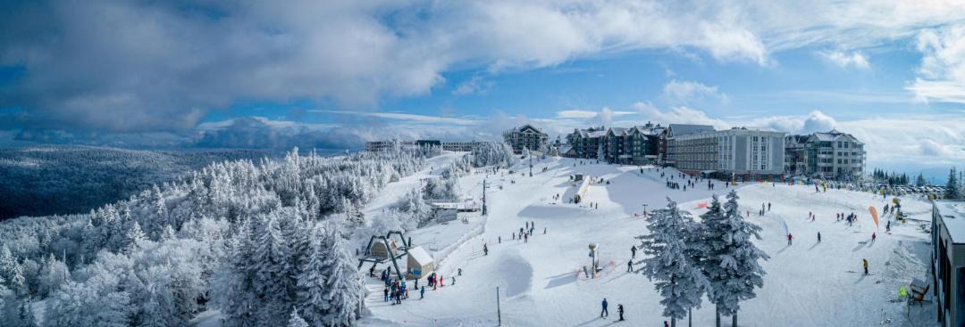 Photo of Others in Snowshoe